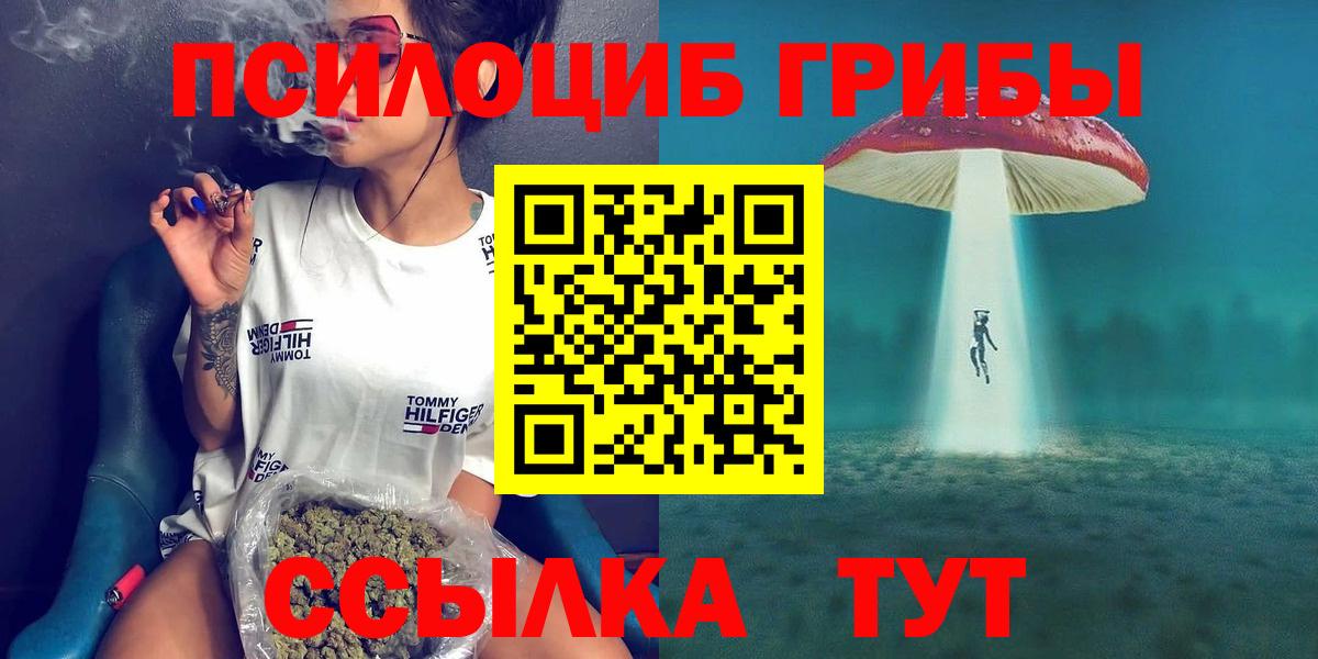 Галлюциногенные грибы Magic Shrooms Владимир