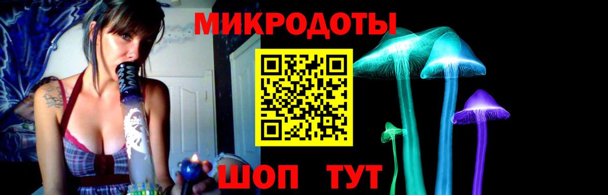 Галлюциногенные грибы GOLDEN TEACHER  Псилоцибиновые грибы Psilocybe  Владимир  Вход с VPN 
